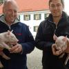 Vater und Sohn Josef Gelb sind Schweinezüchter in Steinach. Bei ihnen dürfen die Ferkel noch auf Stroh groß werden.