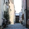 Den weißen Sternen folgend, kann man auf dem Sternenrundgang in der Friedberger Altstadt liebevoll dekorierte Christbäume in weihnachtlich leuchtenden Gassen entdecken.