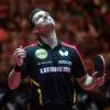 Der 36-jährige Timo Boll ist auch bei der WM in Düsseldorf bester Deutscher. 