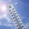 Hitze kann tödlich enden. Die Zahl an Hitzetoten in Deutschland ist nun eine Studie auf den Grund gegangen.