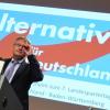 Jörg Meuthen bildet mit Fraue Petry die Parteiführung.