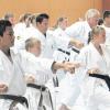 Hunderte von Kampfsportlern waren beim vierten Sommerlehrgang des Vereins Seiko Karate in Eching dabei. Zu Gast waren auch mehrere Karate-Bundestrainer. 