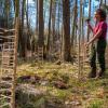 Die Wuchsgitter aus Esskastanienholz schützen die kleine Weißtanne, damit sie nicht von Unkraut überwuchert wird. Mirjam Heindel hat als Auszubildende mitgeholfen, die 725 Holzkonstruktionen in den Boden zu schlagen. 	 	