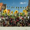 Lasset Blumen sprechen! Aufgrund der aktuellen politischen Weltlage wollen die Landsknechte beim diesjährigen Frundsbergfest ein Zeichen setzen: Statt Schwerter, Hellebarden und langer Spieße werden mannshohe Sonnenblumen durch die Straßen getragen.
