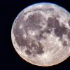 Mehrere Jahrzehnte nach der ersten Mondlandung planen gleich mehrere Nationen neue Mondmissionen.