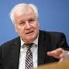 Bundesinnenminister Horst Seehofer wird seine politische Karriere in wenigen Wochen beenden.