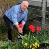 Für Gartenarbeit kann sich Altstadtrat Dieter Benkard auch mit 80 Jahren noch begeistern.