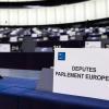 Die AfD ist nicht mehr Teil der ID-Fraktion im Europäischen Parlament. Welche anderen Mitgliedsparteien hat die Gruppe?