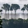 Bäume stehen im Hochwasser der Donau. In einigen Hochwassergebieten in Süddeutschland entschärft sich die Lage, an der unteren Donau bleibt sie gespannt.