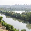 Der Neckar fließt vor dem Max-Eyth-See vorbei.