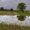 Nach dem Hochwasser nach andauernden Regenfällen ist das Wasser am Montag deutlich abgelaufen. Die jungen Maispflänzchen auf den Maisfeldern vor der Stadt Bad Wörishofen stehen aber noch im Wasser.