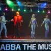 ABBA plötzlich zu fünft? Im Museum präsentiert der Politiker seine Version des Welthits "Dancing Queen".