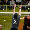 Mit der 0:3-Niederlage haben die Nördlinger Volleyballer (in Schwarz-Rot) ihre kleine Chance auf die Meisterschaft in der Bezirksklasse verspielt. Den Titel holten sich die Gäste aus Leipheim.