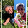 Sie machen mit bei der MZ-Gartenserie "Beetgeschichten": Melanie Lippl, Alf Geiger, Sandra Baumberger und Ulf Lippmann (von links) berichten über ihre Erfolge und Misserfolge im Gartenjahr 2024.