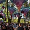 Die "Medusa Jungle" Bühne zählte zu den Highlights des Ikarus-Festivals 2024 bei Memmingen. Doch nicht alles war gut.