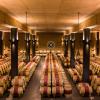 Ein Blick in den Weinkeller des Weinguts Monteverro - Spitzenweine aus der Toscana, jetzt in der Genusswelt.