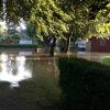 Die Feuerwehr Thannhausen wurde zur teils überfluteten Kleingartenanlage "Am Mühlbach" gerufen.