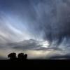 Regenwolken ziehen über eine Baumgruppe.