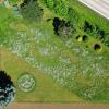 Riesige Fußspuren hat Michael Walter in seinen Garten in Hochaltingen gemalt.
