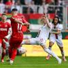 Augsburg gelingt gegen Köln nur ein Unentschieden: Das Spiel im Live-Ticker