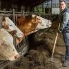 Auch als Europaabgeordneter will Stefan Köhler weiter auf seinem Bauernhof in Wiesen mitanpacken. Das Foto entstand bei einem Besuch im April.