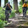 Mountainbiker sind nicht selten im Wald unterwegs.