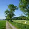 Wie hier auf Höhe Oberhagenried ist der Feldweg entlang der Kleinen Mindel noch eine Schotterpiste. 