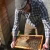Sebastian Morbach, Leiter der Umweltstation in Babenhausen, nutzt die milden Temperaturen zur Durchsicht seiner Bienenvölker.