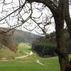 Das lange Tal in Rohrbach: Für Förster Martin Spies ist der Waldbestand dort vorbildlich.