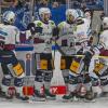 Die Mannschaft der Eisbären Berlin jubelt nach dem Treffer zum 1:1 gegen die Straubing Tigers.