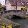 Viele Nördlingerinnen und Nördlinger haben sich an OB David Wittner gewandt - mit der Bitte, dass die Brücke bei der Neumühle nicht abgerissen wird.