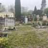 Auch auf dem Dießener Friedhof St. Johann breiten sich Grünflächen aus. Momentan blüht der Löwenzahn üppig zwischen den Grabstätten.