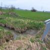 Am Heilbach südlich von Unteroth haben Biber Quartier bezogen, was zu unterhöhlten Uferbereichen, aber auch zu verstopften Wasserwegen führt. Das Thema kam bei der Bürgerversammlung zur Sprache.