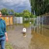 Tierpflegerin Sabrina Sahliger arbeitet seit 4 Jahren beim Tierschutzverein Donauwörth. Ein derartiges Hochwasser habe sie noch nicht erlebt. 