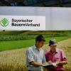 Partner der RegioAgrar Bayern ist der Bauernverband. 
