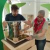 Ganz vorsichtig stellen Museumsleiterin Sarah Schormair und ihr Mann Emanuel Schormair das Modell der Bräutigamseiche im Ausstellungsraum auf.