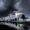 Bäume spiegeln sich in einer Pfütze, während dunkle Wolken aufziehen.