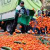 In den vergangenen Wochen haben Bauern in mehreren europäischen Ländern gegen zu hohe Umweltauflagen protestiert - wie hier in Spanien.