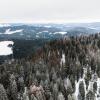 Schnee ist auf und zwischen den Bäumen nahe dem Seebuck-Hang am Feldberg zu sehen.