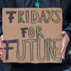 Fridays for Future hat für den 31. Mai Streiks angekündigt.