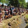 Großes Spaß für klein und große: Beim Radegundisfest wird ein Badeentenrennen ausgetragen.