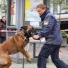 Im Rahmen des "Sicherheitstags" bekamen Bürgerinnen und Bürger am Augsburger Moritzplatz Einblicke in die Polizeiarbeit – wie hier der Hundestaffel.