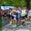 Über 500 Teilnehmer gingen beim 54. AOK-Straßenlauf im Augsburger Siebentischwald an den Start.
