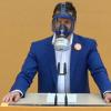 Mit Gasmaske am Rednerpult - nur ein Grund, warum die AfD zahlreiche Rügen bekommen hat.
