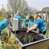 Die Frauen aus dem Vorstand des Obst- und Gartenbauvereins Buttenwiesen bepflanzen ein Hochbeet. Sie haben wertvolle Tipps für das Frühlingsbeet. 