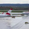 Geparkte Flugzeuge der Austrian Airlines  (AUA) am Flughafen Wien-Schwechat (Archivbild).