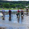 In Wiesen und Äckern vor der Staustufe Bittenbrunn fangen Helfer Karpfen und andere „Ausreißer“. Sie werden in die Donau zurückgesetzt.