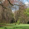 Der Wittelsbacher Park lädt zum Spazierengehen und Sporttreiben ein.