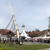 Ein ganz schöner Kraftakt für Wengen: Drei Kubikmeter misst der Maibaum 2024. Am Vormittag wurde er aufgestellt, danach wurden Zunftzeichen, Kranz und eine weiß-blaue Fahne angebracht.