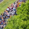 Eine Demonstration zieht durch die Straßen Berlins.